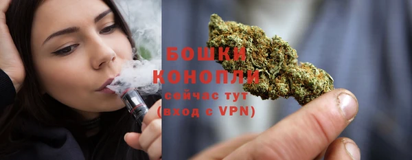 прущий лед Вяземский