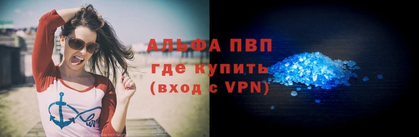 прущий лед Вяземский