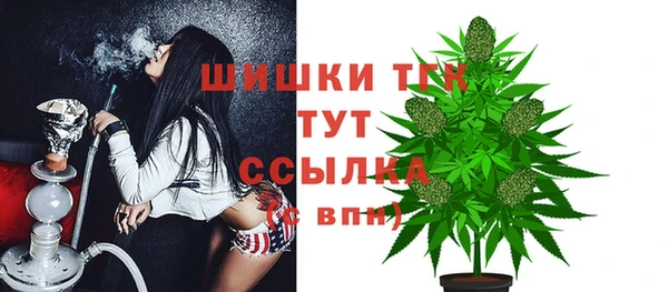 spice Ладушкин