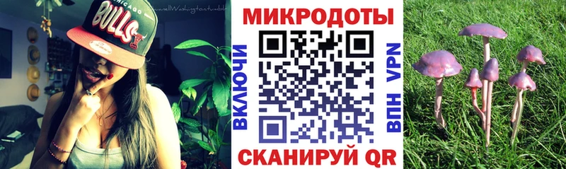 Галлюциногенные грибы Cubensis  Тайшет 
