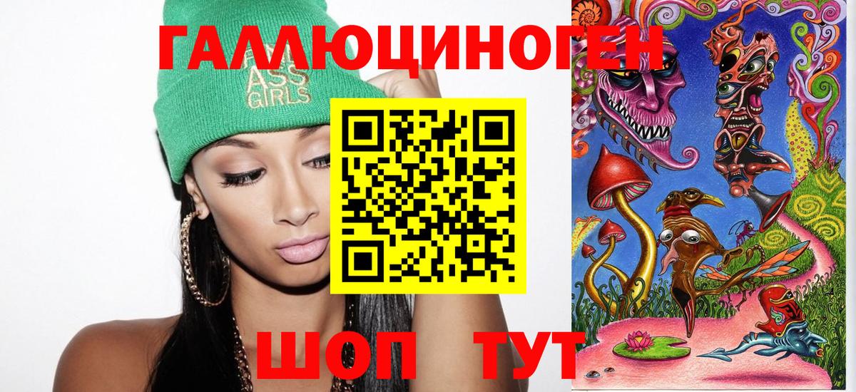 Псилоцибиновые грибы прущие грибы  Тайшет  Псилоцибиновые грибы Psilocybine cubensis 