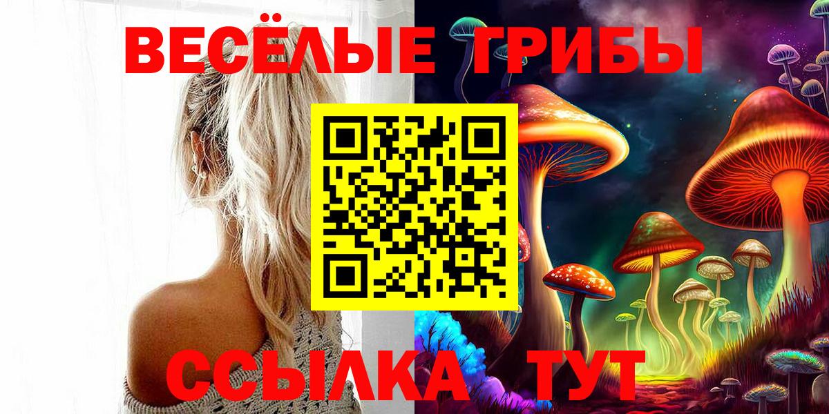 Галлюциногенные грибы Magic Shrooms Тайшет