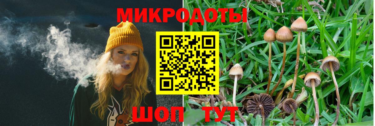 Псилоцибиновые грибы Magic Shrooms  Галлюциногенные грибы Psilocybine cubensis  Тайшет  Вход с VPN 
