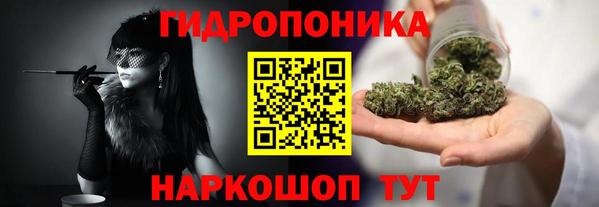 Бошки Шишки OG Kush Тайшет